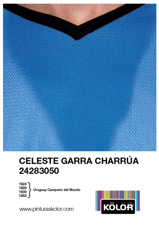 flyer garra charrúa