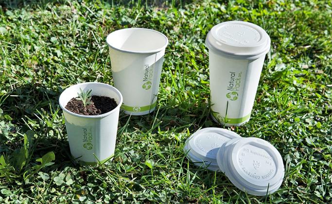 DPS vasos compostables Publimark