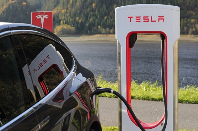 Tesla ESG Brand Finance Publimark