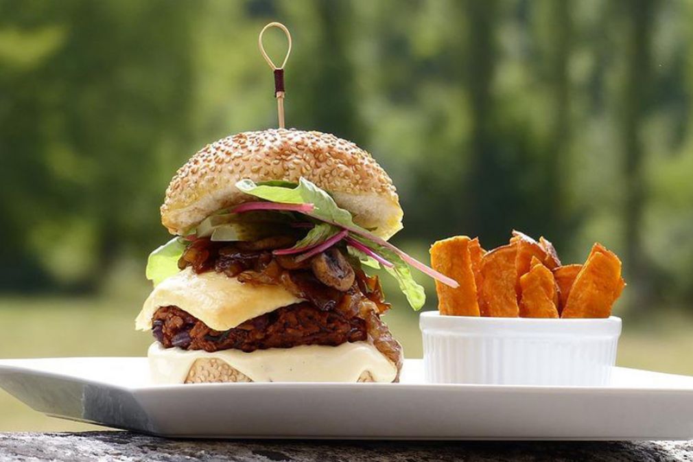 Radiograf&iacute;a a la alimentaci&oacute;n basada en vegetales