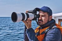 C&aacute;mara full-frame de Sony con procesamiento mediante IA