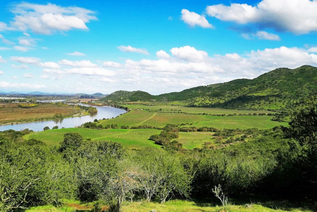 Viñas que se unen a la Ruta del Vino Valle del Maule