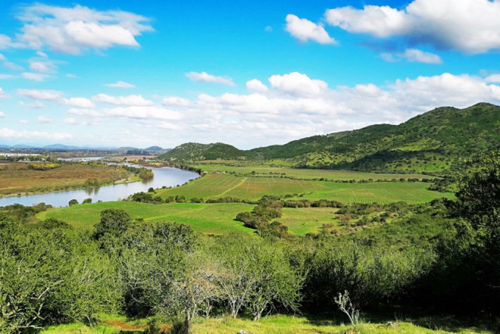 Vi&ntilde;as que se unen a la Ruta del Vino Valle del Maule