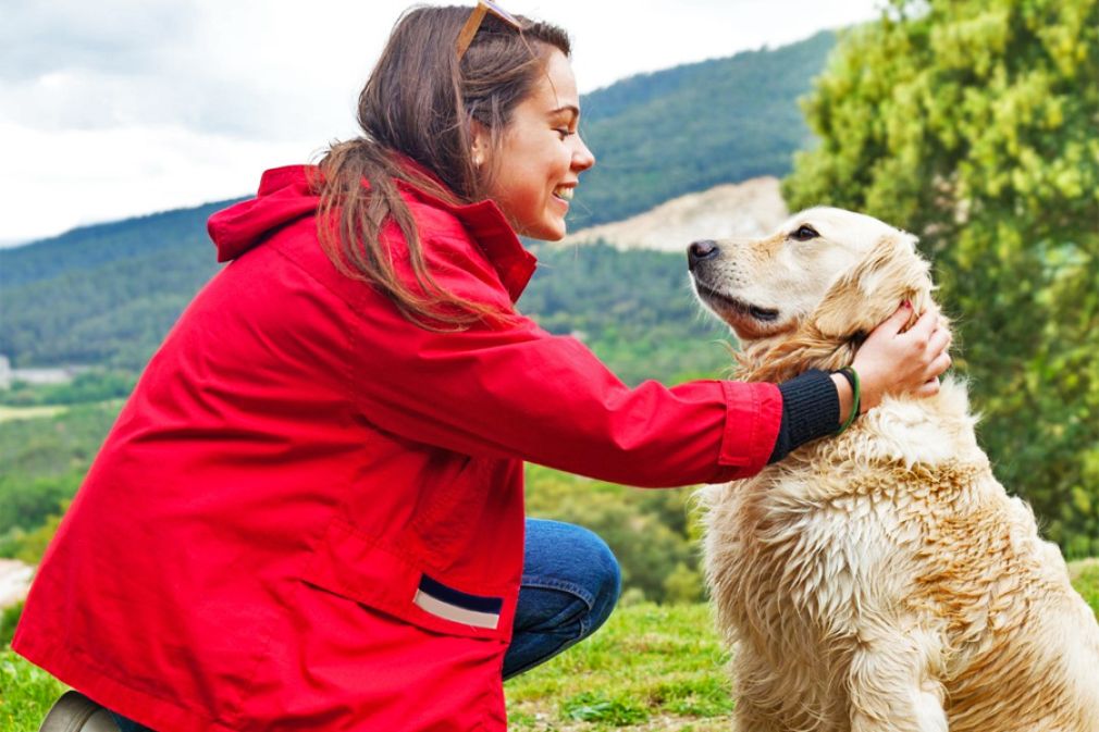 Plataforma de adopción de mascotas creada por Laika