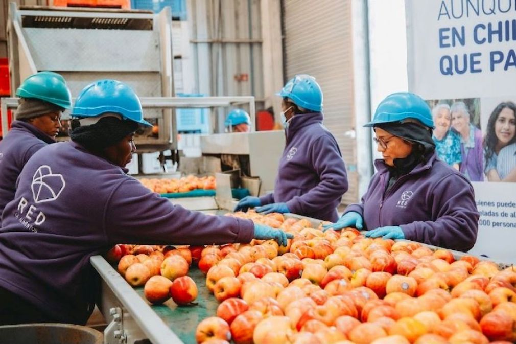 Los 15 a&ntilde;os de Red de Alimentos rescatando productos