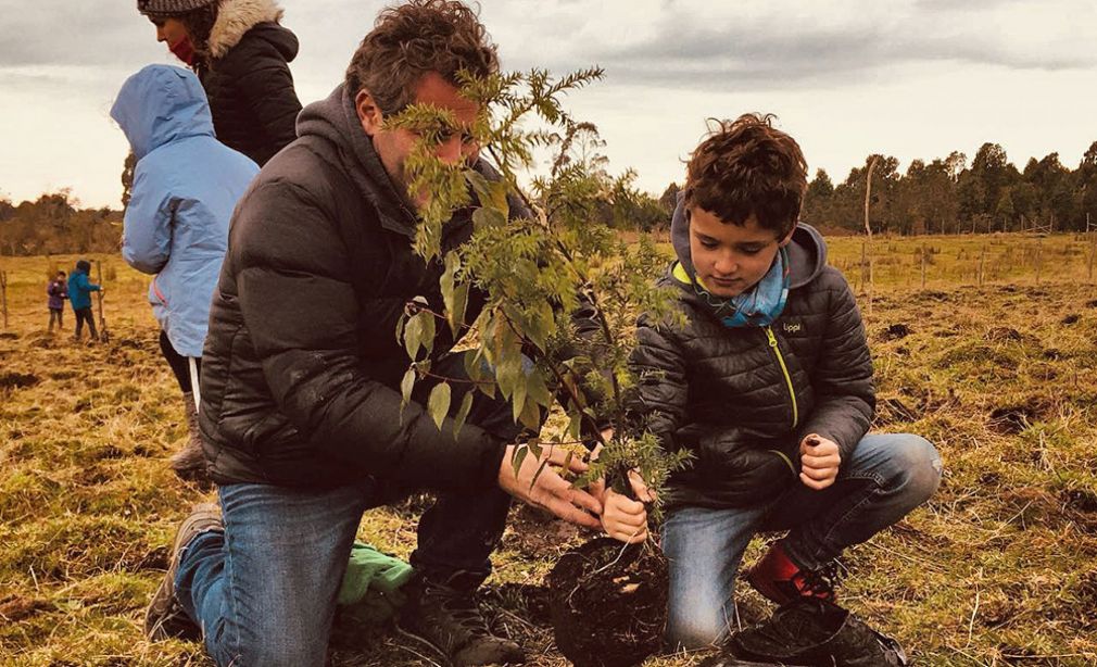 Hotel apoya proyecto de reforestación en Chiloé