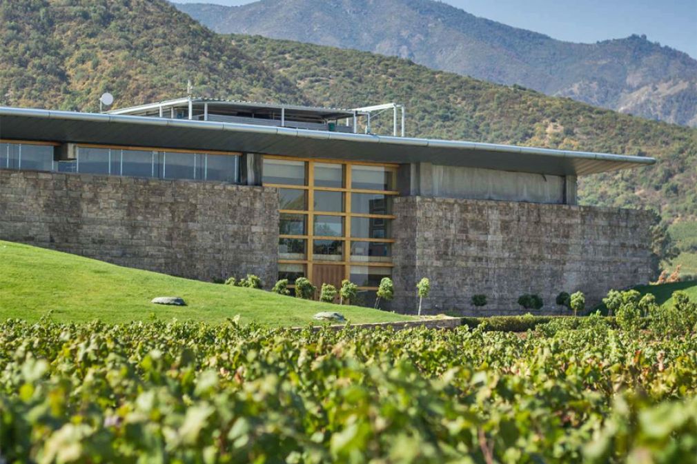 Vi&ntilde;a Montes se une a la comunidad global de empresas B