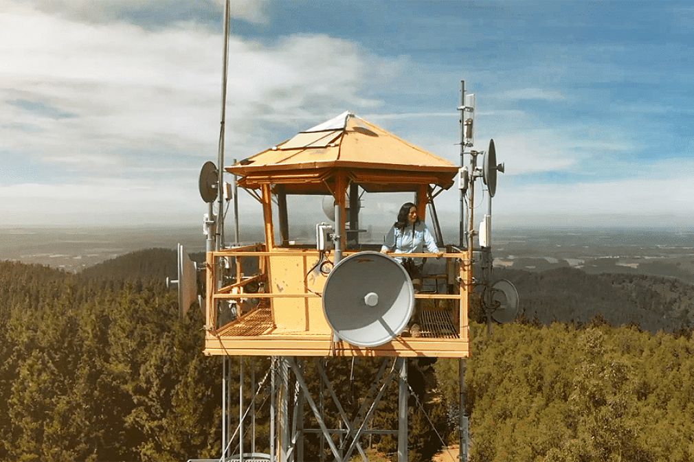 Mini serie documental sobre los bosques de Chile