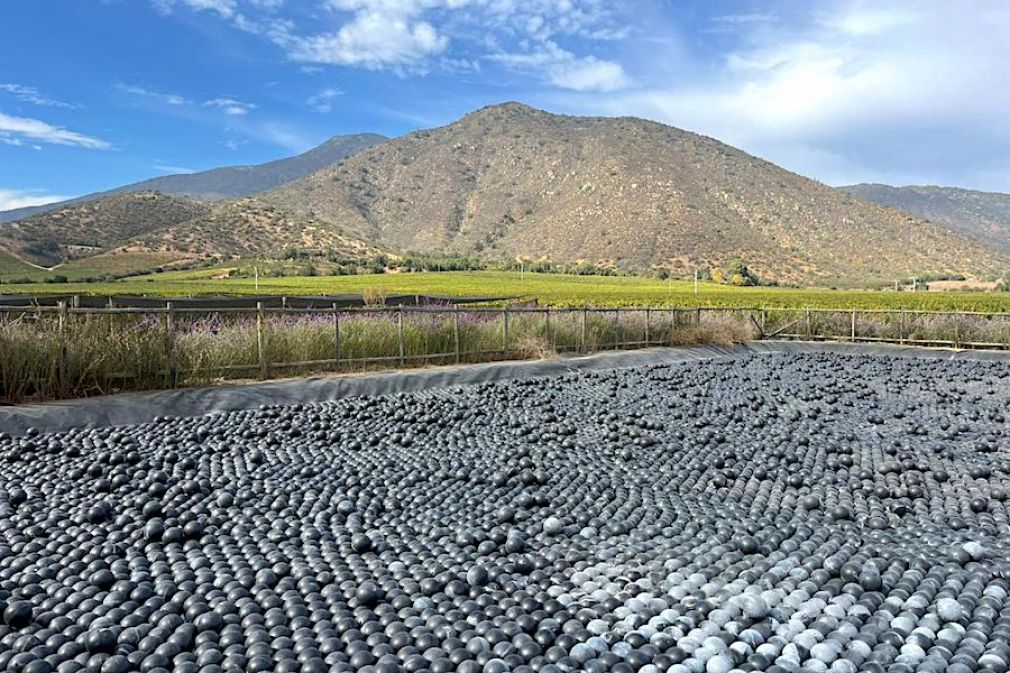 Junto a emprendores, Vi&ntilde;a Concha y Toro refuerza el upcycling