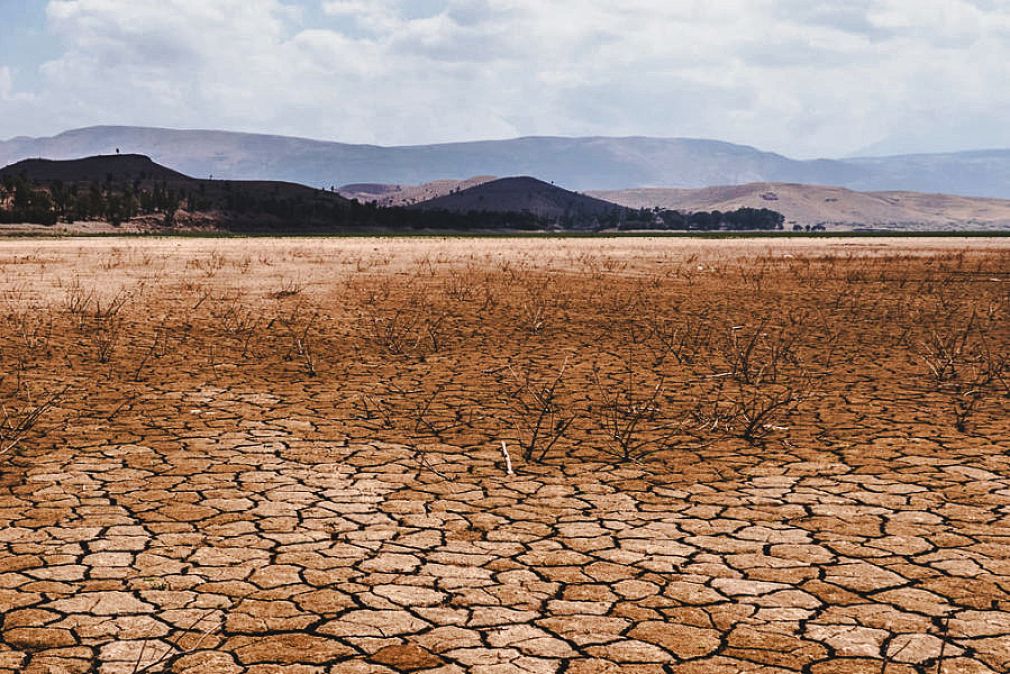 Tecnolog&iacute;a como herramienta para enfrentar el cambio clim&aacute;tico