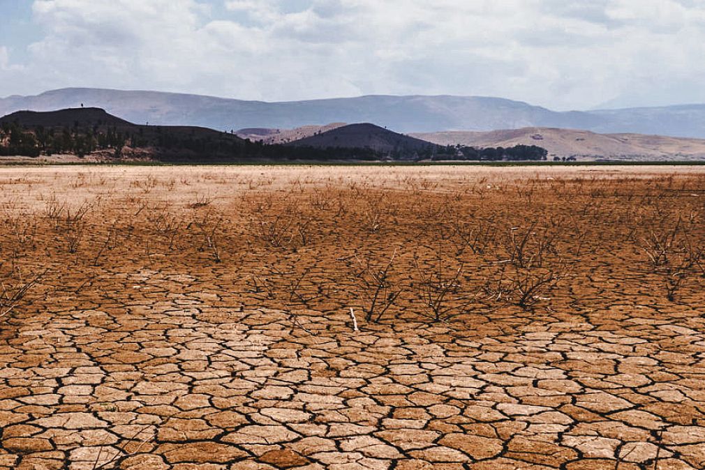 Tecnología como herramienta para enfrentar el cambio climático