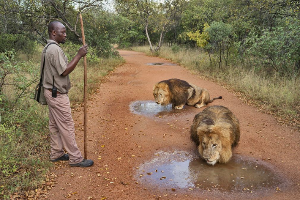 Fot&oacute;grafos del a&ntilde;o en Sony World Photography Awards