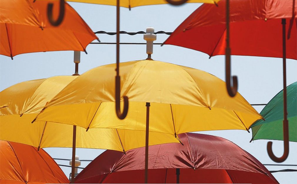 Compa&ntilde;&iacute;as de seguros observadas en las redes