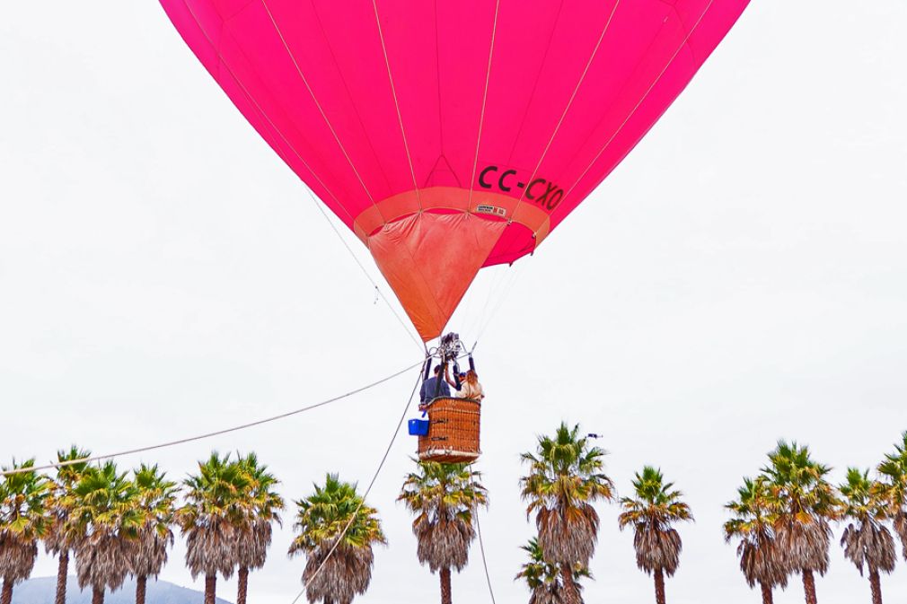 Novedoso lanzamiento al aire muy libre de Savory