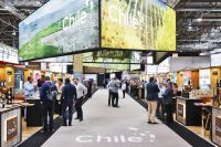 Participaci&oacute;n del vino chileno en ProWein 2022