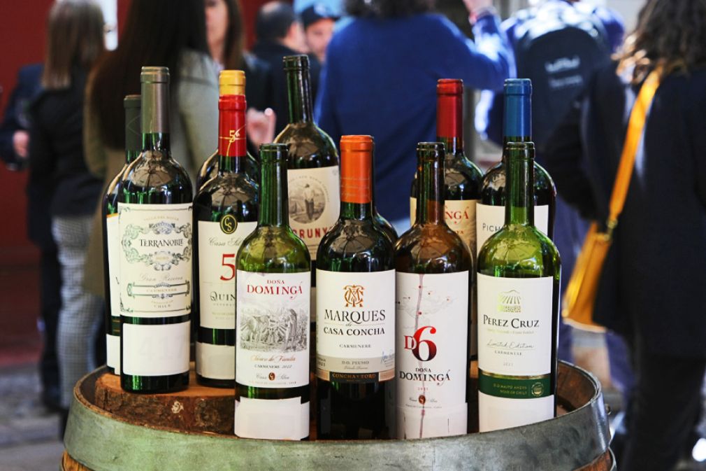 Carmen&egrave;re Al Mundo 2022 ya tiene sus vinos ganadores