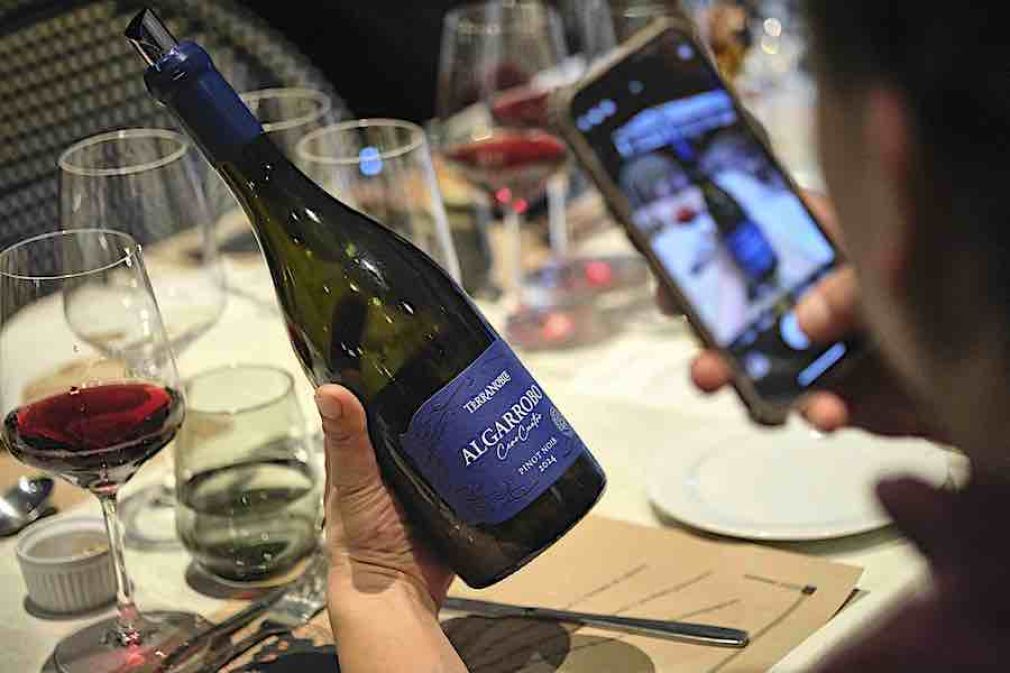 Algarrobo Cero Cuatro, un Pinot Noir de alta gama Viña Terranoble