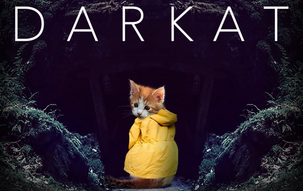 Catflix: Una plataforma de streaming… ¿para gatos?