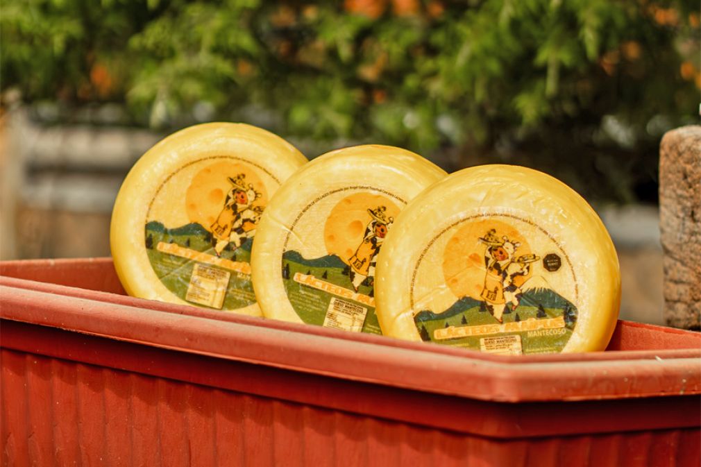 Quesos de la Regi&oacute;n de Los Lagos aterrizar&aacute;n en EE.UU.