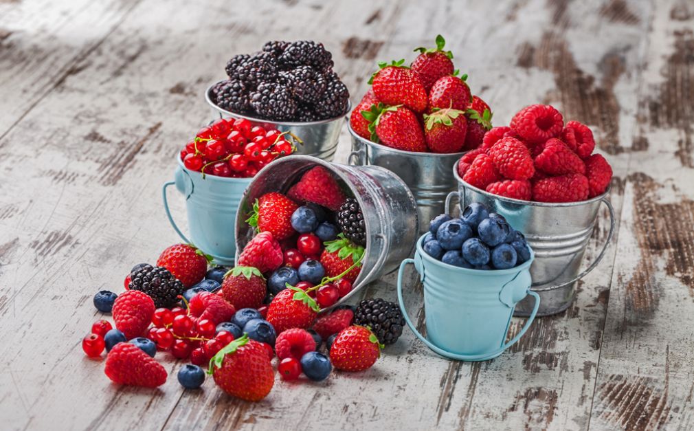 Chilena Hortifrut exportar&aacute; berries desde Colombia