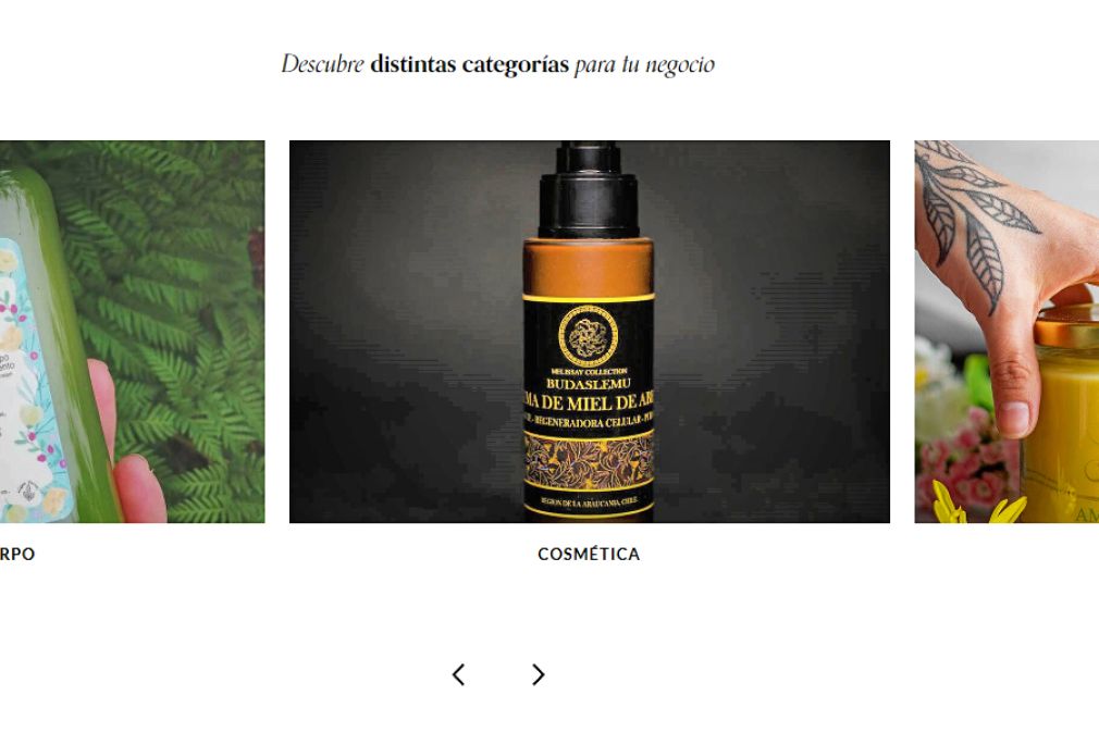 Marketplace B2B para marcas independientes