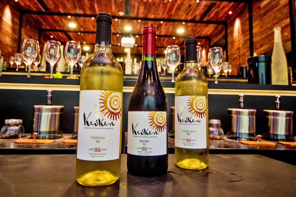 La incre&iacute;ble historia del vino m&aacute;s austral del mundo