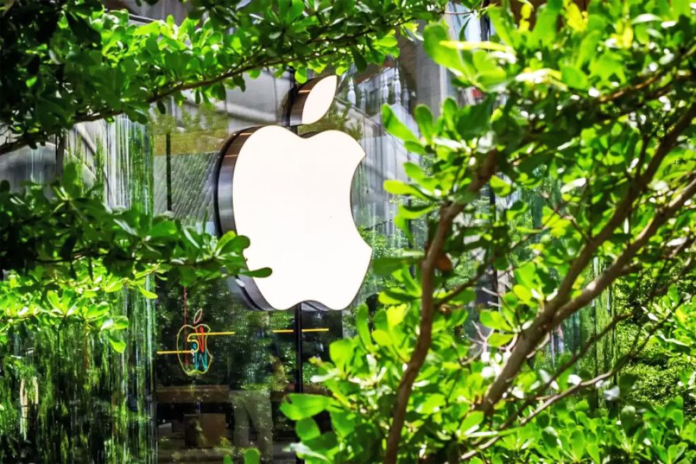 La sostenibilidad como factor de la elecci&oacute;n de marca