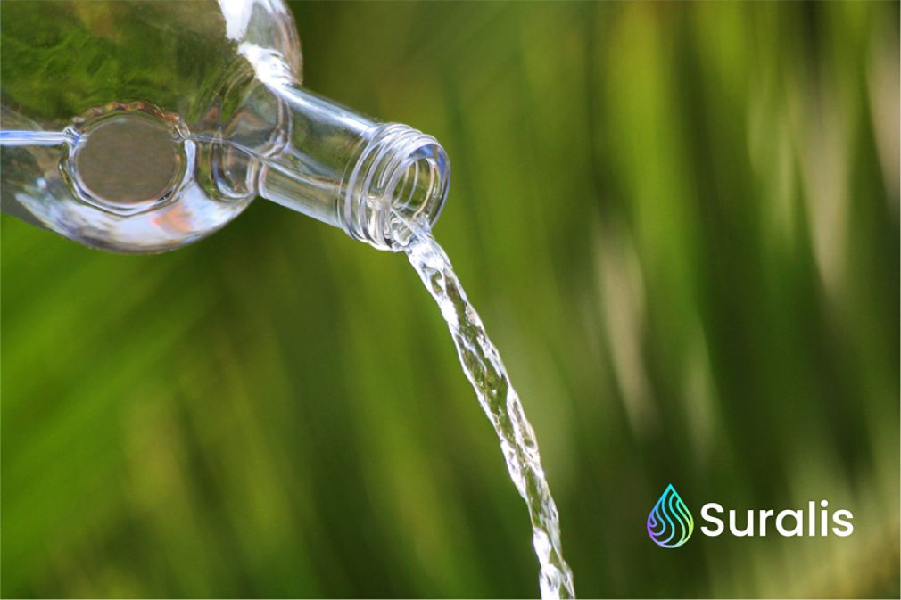 La profunda transformaci&oacute;n de Essal que ahora es Suralis