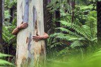 Inter&eacute;s de los chilenos por tener acciones sustentables