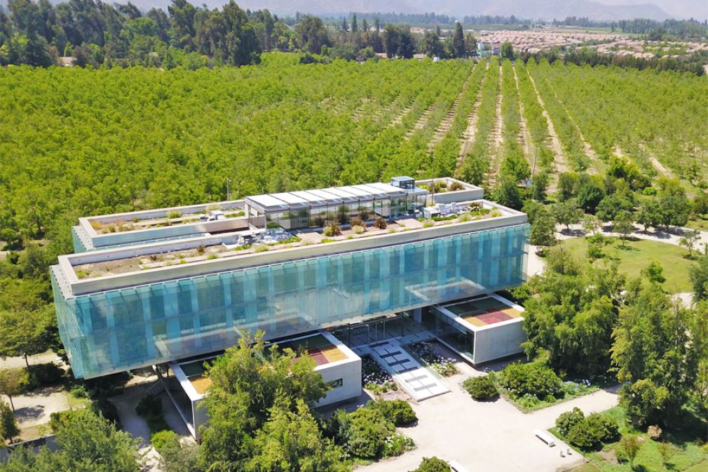 Iniciativas de g&eacute;nero, diversidad e inclusi&oacute;n en Molymet