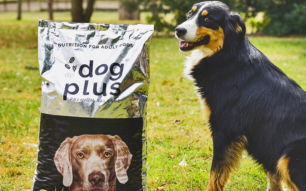 Alimento saludable para perros con Sello País