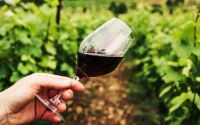 Estrategia 2021 de Wines of Chile en los mercados prioritarios