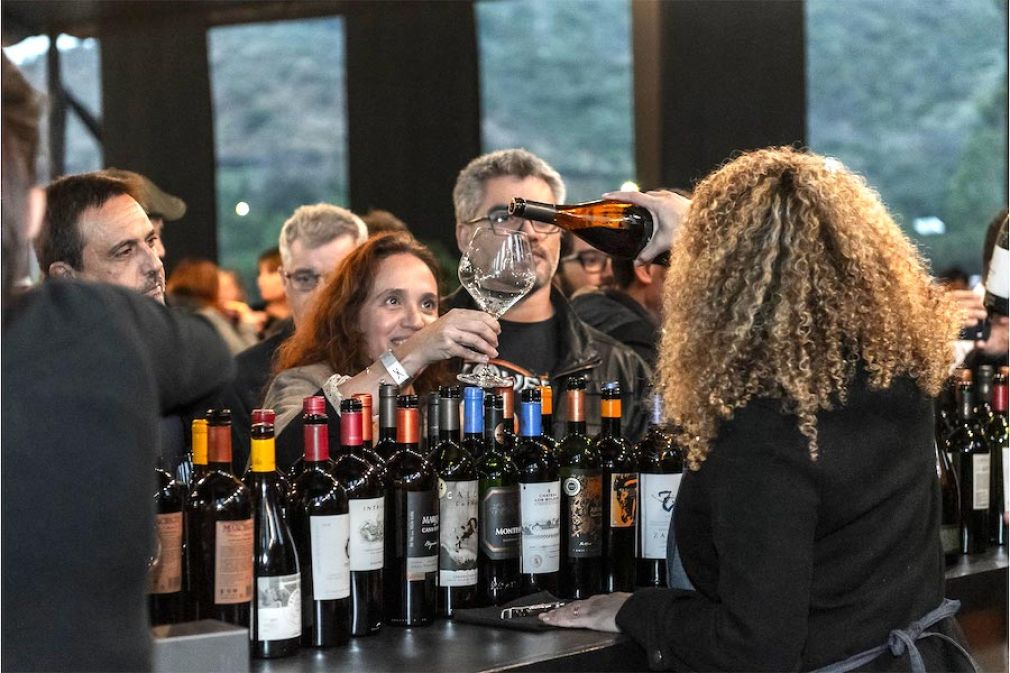 Chile Wine Fest 2025: Fiesta del vino que marca el inicio del verano