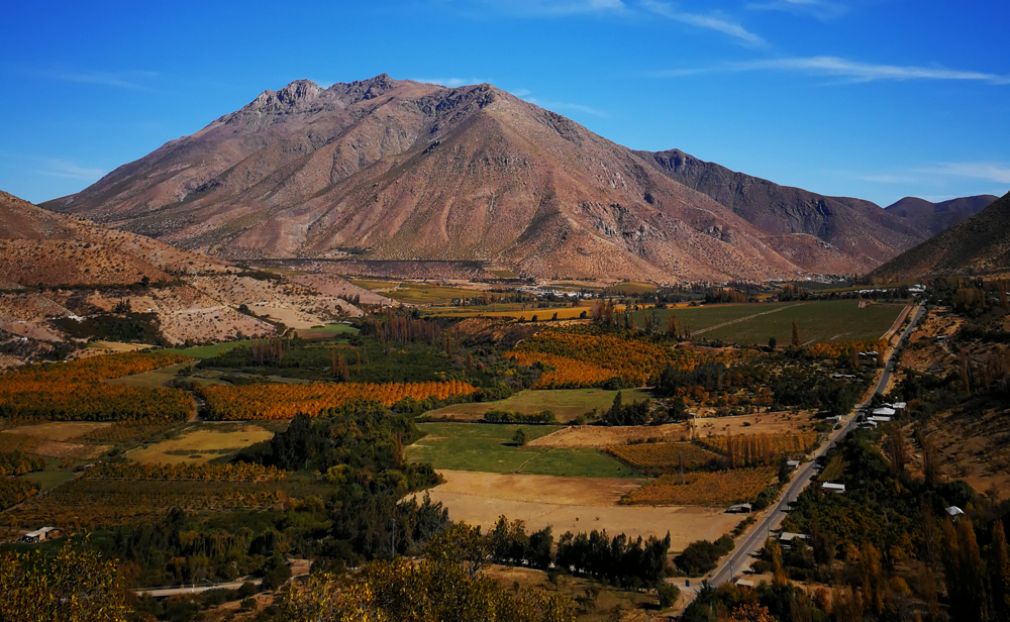 Tendencias: La d&eacute;cada dorada del pisco chileno