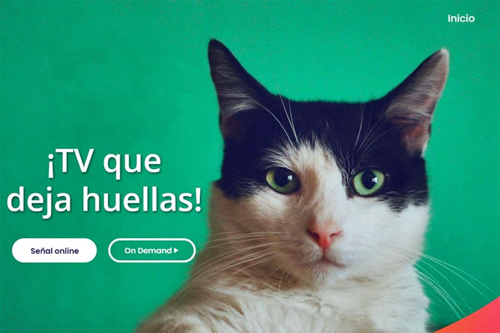 Nuevo canal de TV online y on demand sobre mascotas