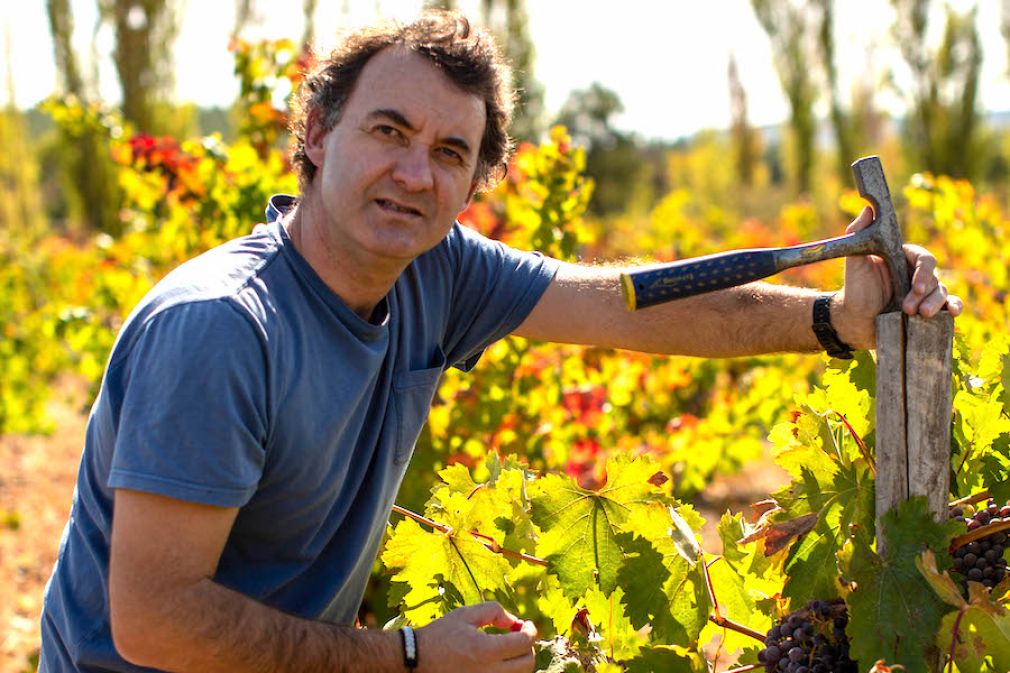 Eduardo Jord&aacute;n, el director t&eacute;cnico y en&oacute;logo de Miguel Torres 