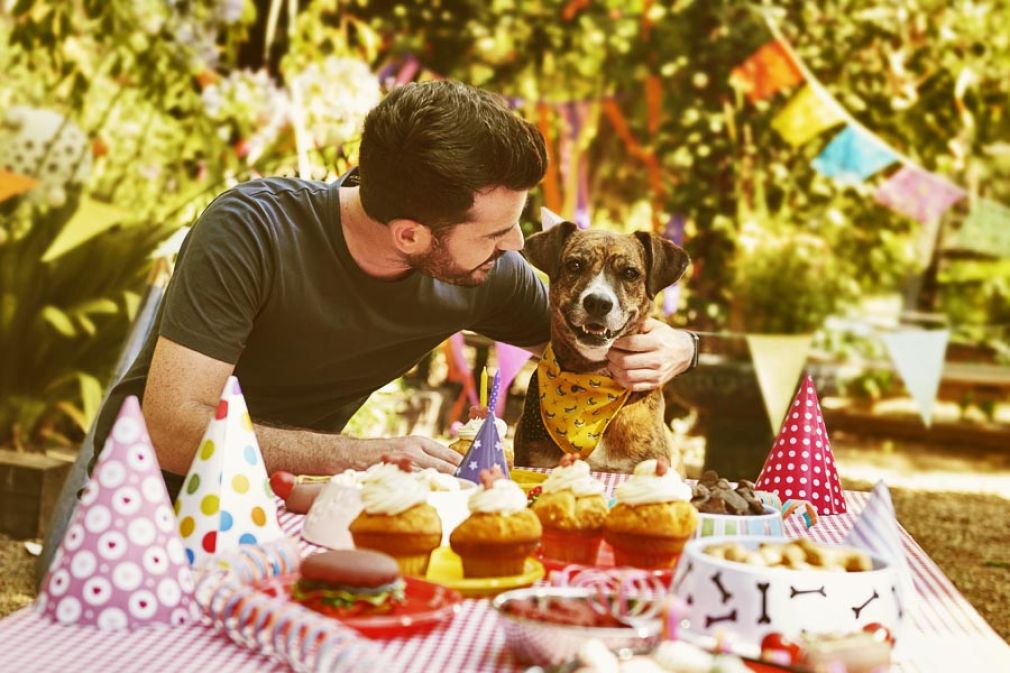 Ripley.com entra en la categor&iacute;a de mascotas con Ripley Pets