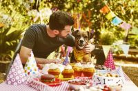 Ripley.com entra en la categor&iacute;a de mascotas con Ripley Pets