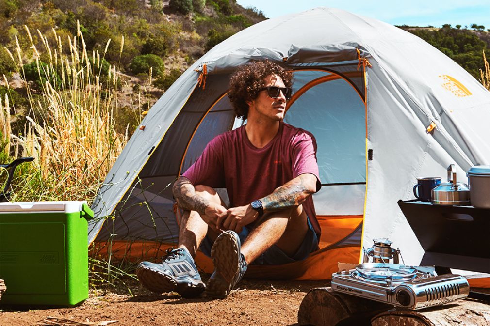 Lo que es conveniente saber para comprar una carpa