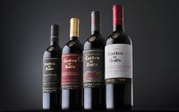 Casillero del Diablo: Mejor viña del Nuevo Mundo