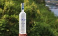 Sirena de Chiloé: Vodka premium chileno firme ante la pandemia