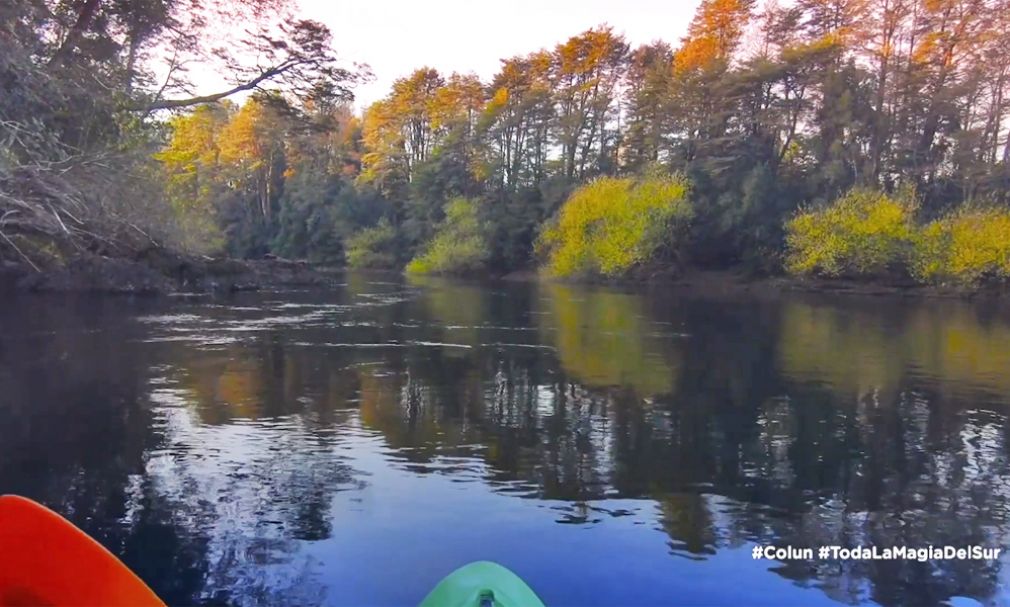 Hasta la naturaleza llega a tu casa en pandemia