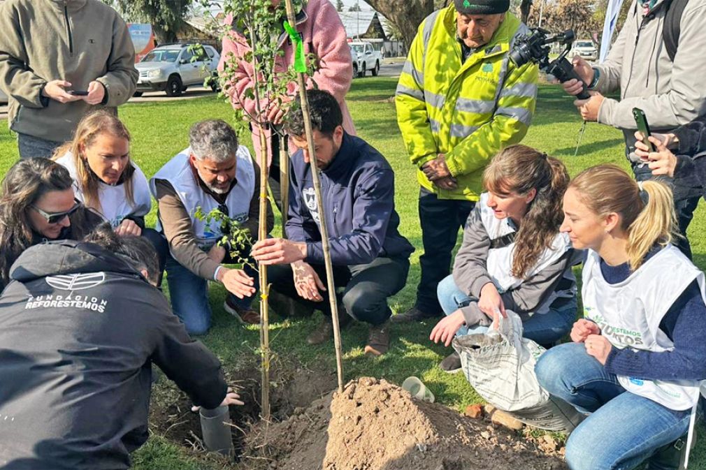 Marcas que se movilizan por la reforestación en Chile