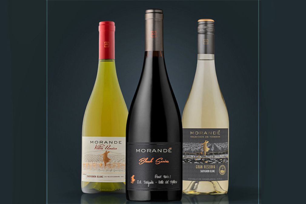 La exitosa cosecha de Morand&eacute; en Decanter Awards