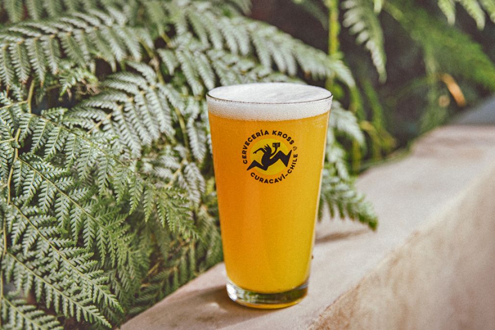 La nueva variedad s&uacute;per craft de cervecer&iacute;a Kross