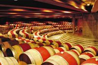 Cuatro chilenas entre las marcas de vino m&aacute;s admiradas del mundo