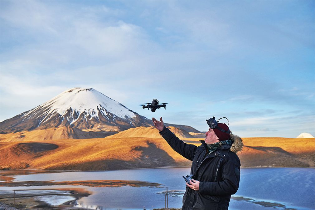 El premio a una visión profunda de un propósito de marca